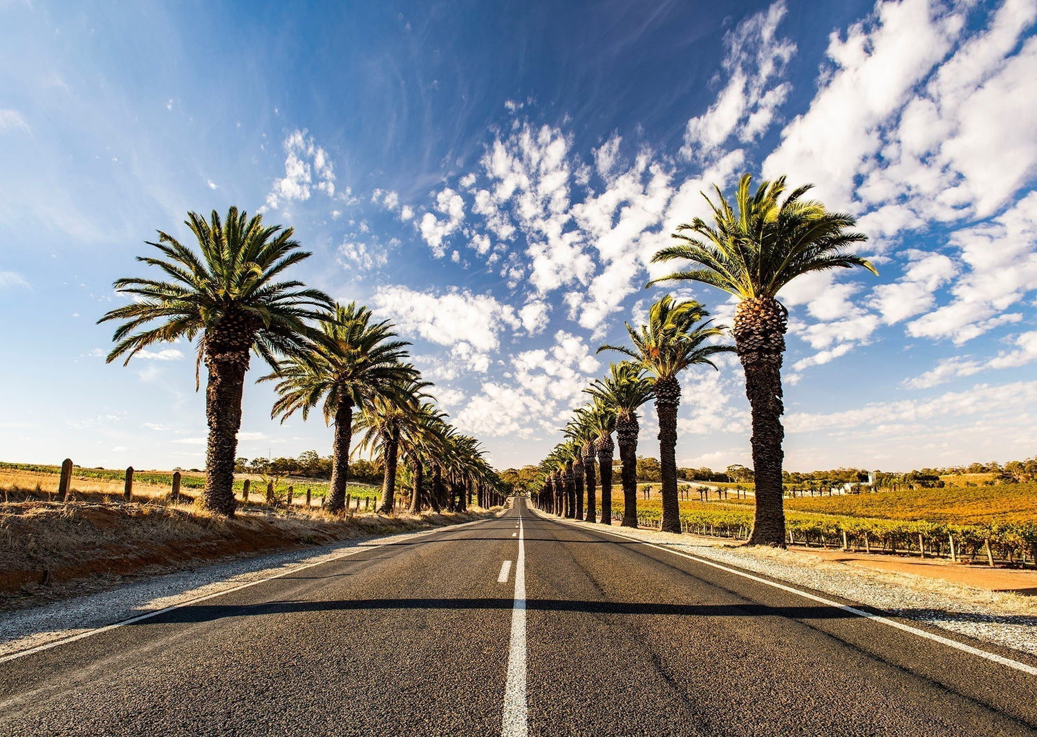 Take a break from the footy and spend it on Seppeltsfield Road