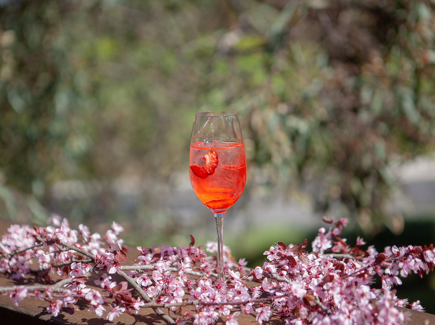 Negroni Blush